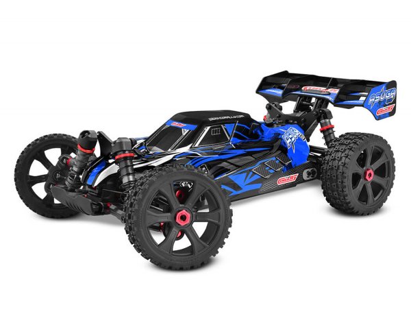 Corally Asuga XLR