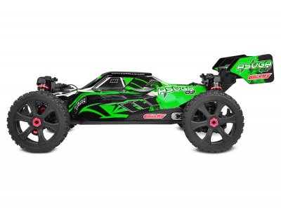 CORALLY ASUGA XLR 6S BRUSHLESS BUGGY GRÖN RTR
