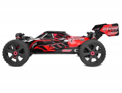 CORALLY ASUGA XLR 6S BRUSHLESS BUGGY RÖD RTR