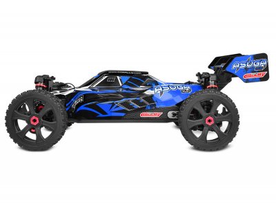 CORALLY ASUGA XLR 6S BRUSHLESS BUGGY BLÅ RTR